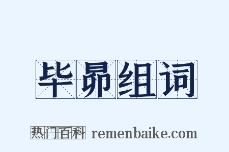 毕昴组词是什么意思的图片